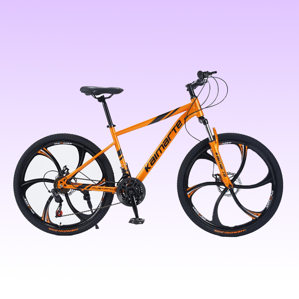 Bicicletta da Montagna Persona - Mountain Biking Europe recensione e prezzo