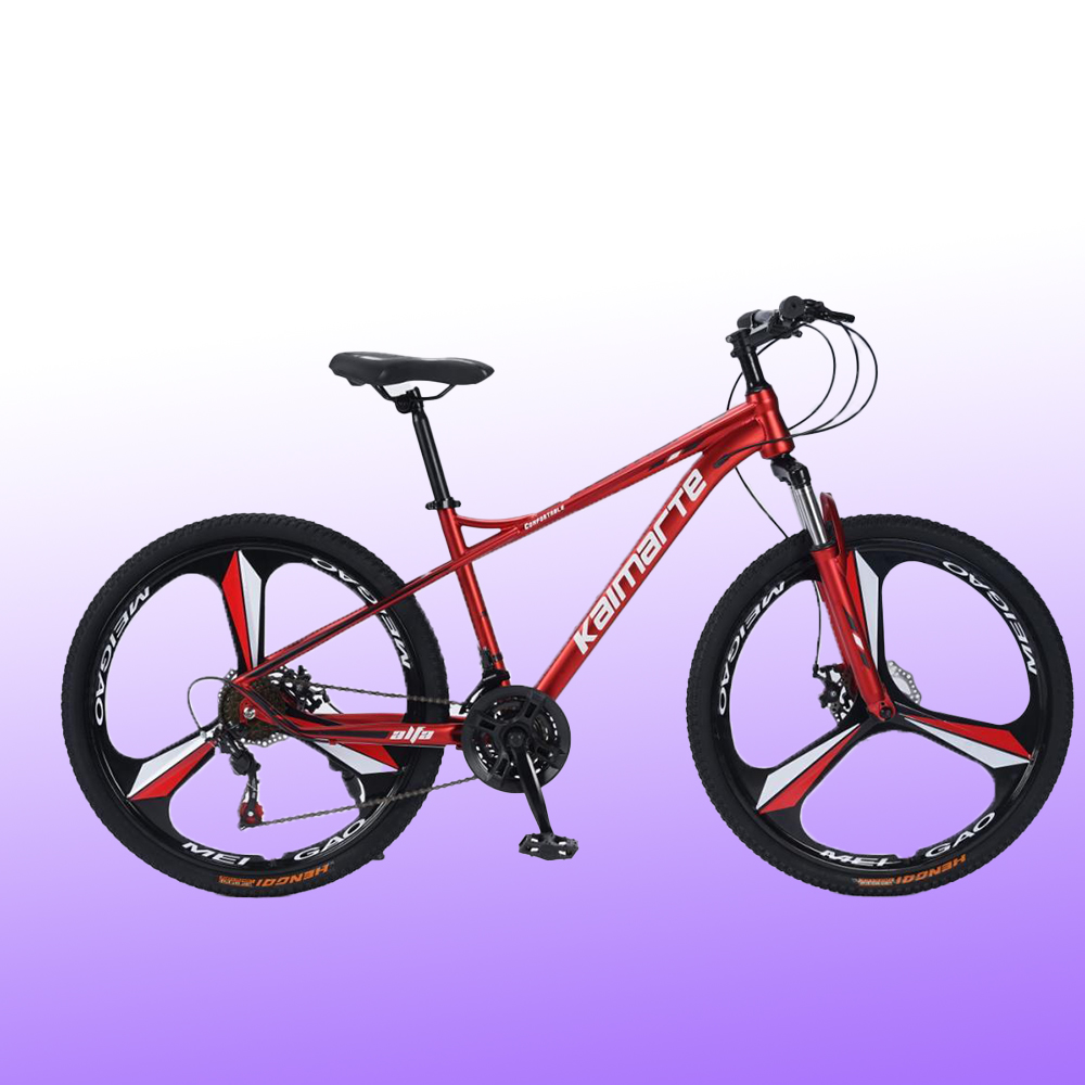 Bicicletta da Montagna Persona - Mountain Biking Europe recensione e prezzo